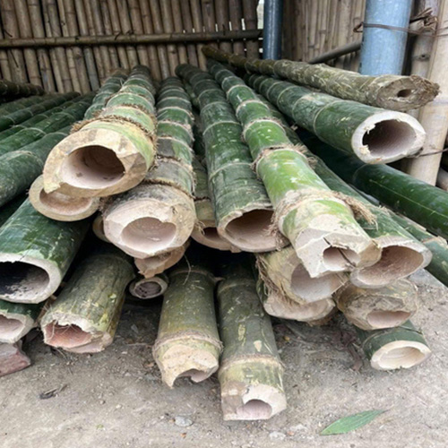 CỌC TRE, CỌC LUỒNG GỐC 3M